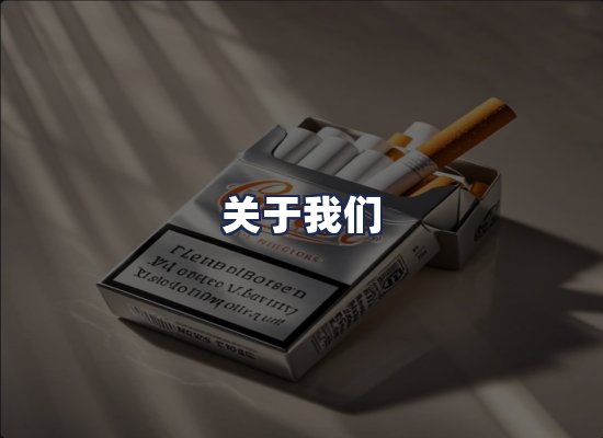 关于我们
